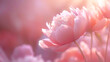 Detalhes delicados de uma bela peônia em plena flor com luz suave realçando a textura das pétalas