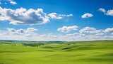 Fototapeta Przestrzenne - Tree on the green field with blue sky and white clouds background.