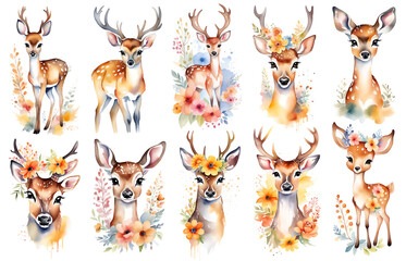  Cute baby deer, woodland animal nursery watercolor illustration set. Illustration for children. Nursery posters