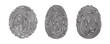 vector set of fingerprint types. fingerprint vector illustration. minimalist style.