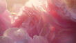 Delicada rosa rosa capturada com luz natural suave usando uma lente macro para destacar os detalhes intricados