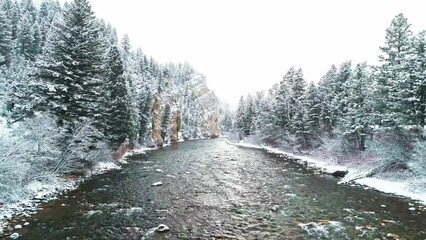 Wall Mural - Mountain river flowing through canyon during snowstorm along the road in Montana