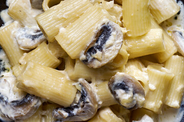 Canvas Print - italian rigatoni pasta in mushroom cream sauce