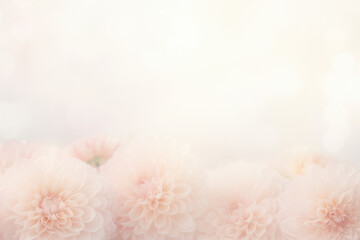 Poster - Pastel pink flowers elegantly sprawled across a pristine white background