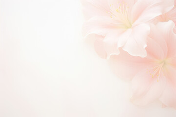 Poster - A close up of delicate pink flowers against a pristine white background, showcasing intricate details and vibrant colors