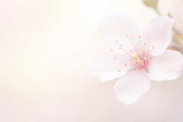 Poster - A mesmerizing close-up of a delicate flower blooming against a pristine white background, showcasing its intricate details and natural elegance