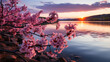 A stunning sunset casting a warm glow over a tranquil lake, framed by delicate pink sakura  flowers in full bloom, creating a picturesque scene of natural beauty and serenity