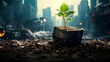 a plant being born in the middle of a destroyed city, environmental care concept, ecological concept