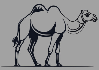 cute camel, isolated vector silhouette, on white background
