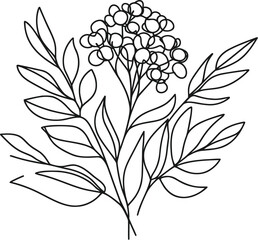 Wall Mural - Lilacs flower in continuous line drawing minimalist style.