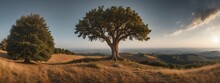 Amazing panoramic view of a tree on a hill from Generative AI