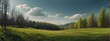 Panoramic spring forest landscape background from Generative AI