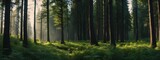 Fototapeta Las - Panoramic summer forest landscape background from Generative AI