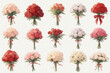 set of flowers 55