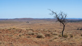 Fototapeta Sawanna - Scenery from the Stokes Hill lookout area of the Flinders Ranges