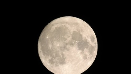 Wall Mural - supermoon in motion, rising against dark night sky. closeup, timelapse