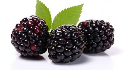 Poster - Close-up realistic photo featuring three juicy blackberries on a white background Generative AI