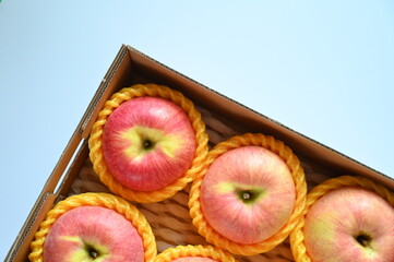 Wall Mural - beautiful pink apple in the box on blue background