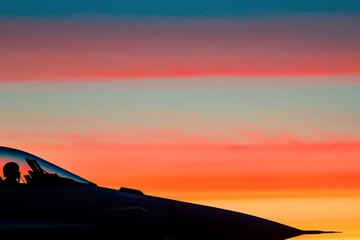 Wall Mural - A modern fighter plane standing out against the dusky sky