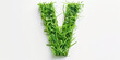 © Valeriia - A letter v drawn with grass on a white background, eco text effect, isolated letter with grass effect high quality. Being a vegetarian or vegan healthy eating concept