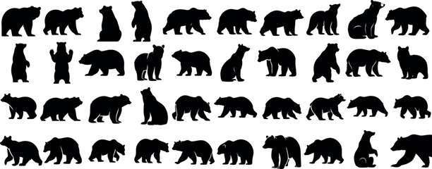 Wall Mural - bear silhouette, various poses of bear, standing, walking, sitting, wildlife, nature, animal, black,