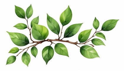 Wall Mural - Modern Vector Illustration: Realistic Watercolor Green Leaves