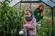 Little girl watering, taking care of plants in greenhouse, during first spring days. Concept of water conservation in garden and family gardening.