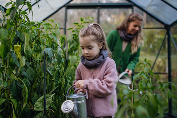 little girl watering, taking care of plants in greenhouse, during first spring days. concept of wate