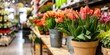 A vibrant display of fresh tulips in a flower shop, with focus on the vivid petals and green leaves.