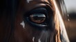 Friesian horse s brown eye sunlit emphasizing lashes generated ai