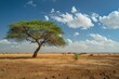 A single tree in the middle of dry land, vibrant airy scenes, charming, idyllic rural scenes, wildlife photography, World Day to Combat Desertification and Drought. 