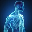 X-ray bones human body, medical concept