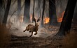 the hare is running away, trying to escape from a strong fire, there is fire all around, burning trees are falling, smoke and sparks from the fire 