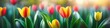 Abstract colorful blurred illustration of blooming tulips on blurred bokeh background, space for text. Concept for valentine's day or birthday or mother's day or women's day.
