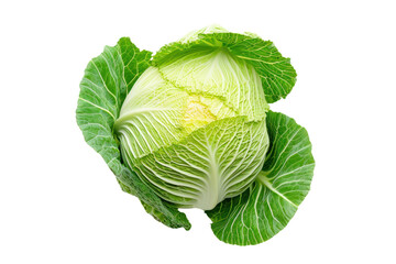 Top view. Cabbage isolated on transparent background.