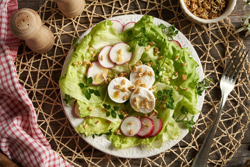 Wall Mural - Top view of a vegetable salad with goat cheese, fenugreek sprouts and chickweed - wild edible plant harvested in spring