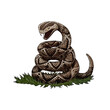 snake of car viper dodge logo