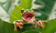 A cheerful, happy frog with an open mouth hid behind a leaf.