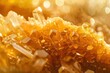 crystallized honey under a microscope showing natural geometry and golden hues