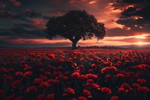  Dramatic Silhouette Of A Lone Tree Amidst A Field Of Blooming Poppies At Sunset Highlighting The Vibrant Red Flowers Against The Fading Light