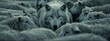 © CreativeCreations - sheep herd with a wolf in the middle.