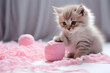 © Anna - Striped fluffy kitten plays with a pink ball and a skein of thread in a bright room.