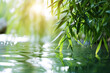 Border of green bamboo leaves over sunny water surface background banner,