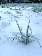 Sticker - Icy Grass in Snow 03