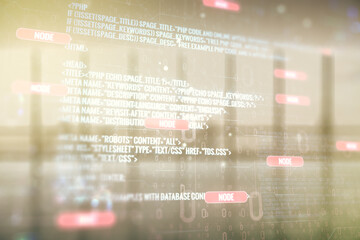 Poster - Double exposure of abstract creative programming illustration on empty room interior background, big data and blockchain concept