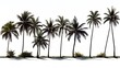 Palm Trees on a White Background