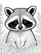 coloring book for children, line drawing,raccoon