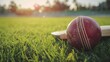 Cricket ball on top of cricket bat on green grass of cricket ground background