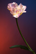Tulip against the backdrop of a magical evening sunset sky. Studio photography.