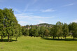 Sommertag im Kurpark von Grafenau - Bayern
